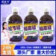 益生元西梅纤维果饮饮料果汁膳食纤维解油腻益生元浓缩西梅汁批发